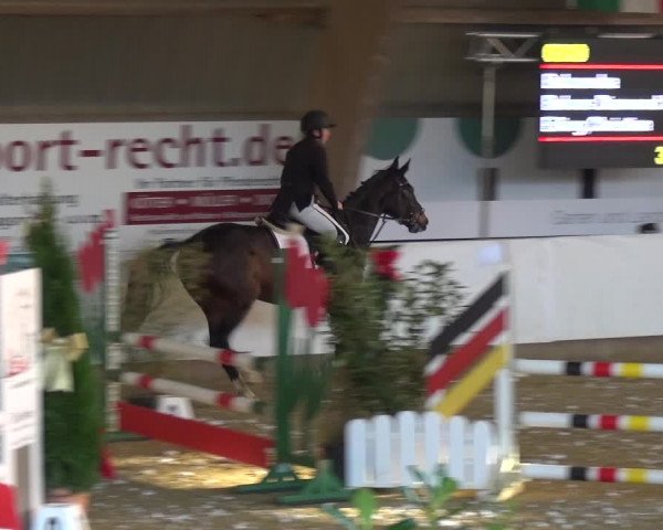 Reitturnier Essen-Stadtwald 2019