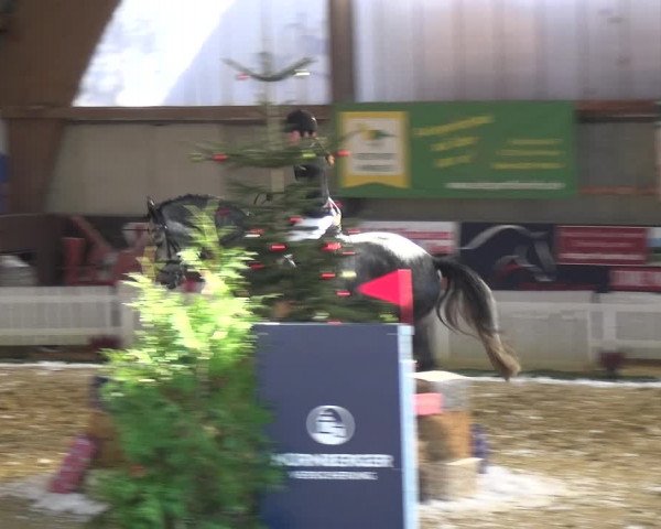 Reitturnier Essen-Stadtwald 2019