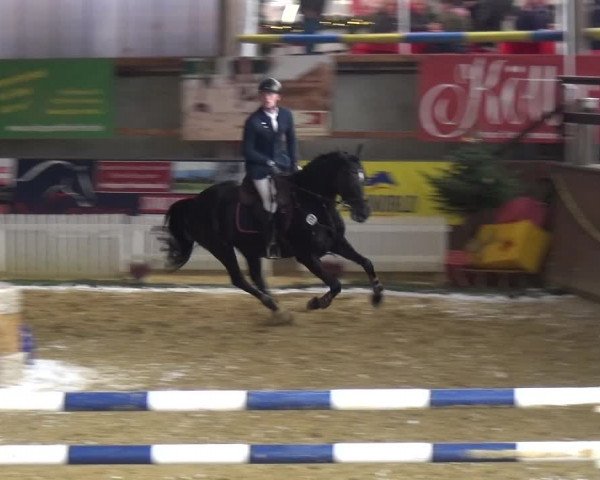 Reitturnier Essen-Stadtwald 2019