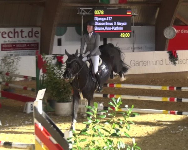 Reitturnier Essen-Stadtwald 2019