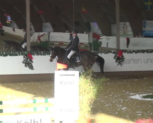 Reitturnier Essen-Stadtwald 2019