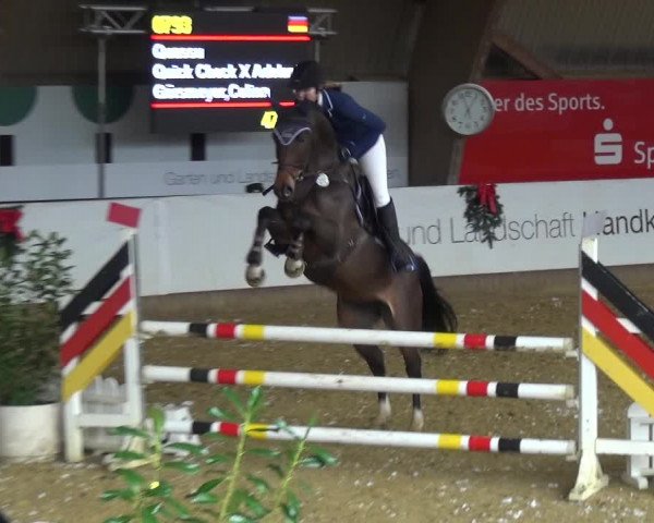 Reitturnier Essen-Stadtwald 2019