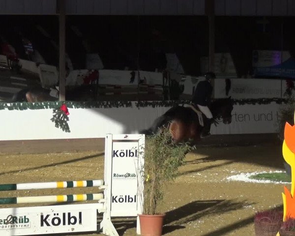 Reitturnier Essen-Stadtwald 2019