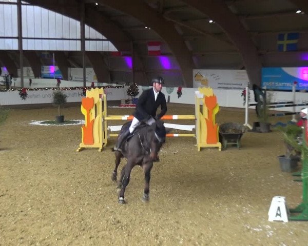 Reitturnier Essen-Stadtwald 2019