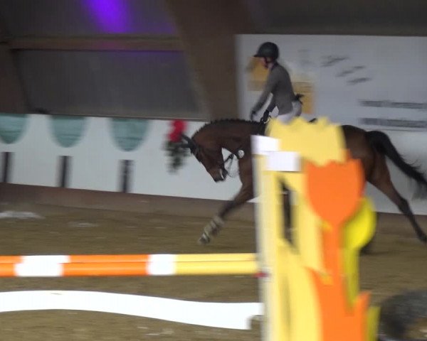 Reitturnier Essen-Stadtwald 2019