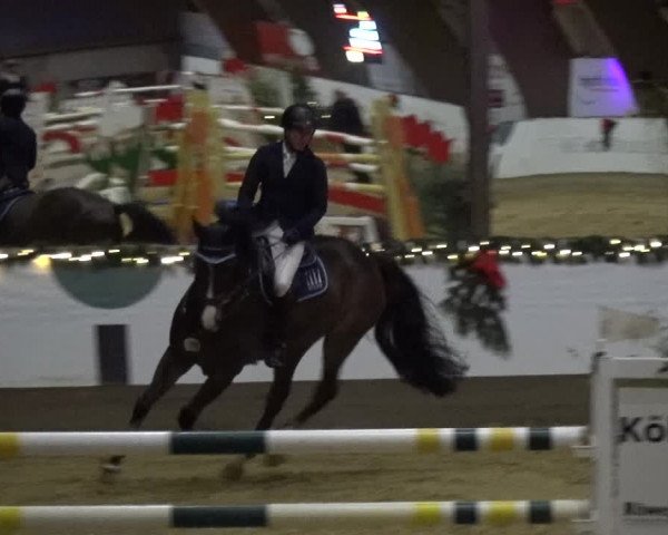 Reitturnier Essen-Stadtwald 2019