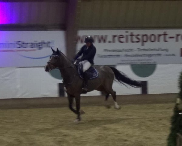 Reitturnier Essen-Stadtwald 2019