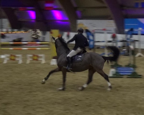 Reitturnier Essen-Stadtwald 2019