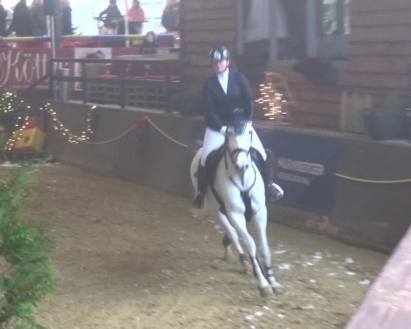 Reitturnier Essen-Stadtwald 2019