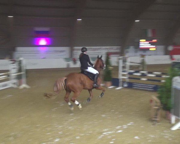Reitturnier Essen-Stadtwald 2019