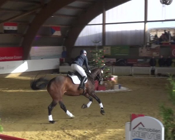 Reitturnier Essen-Stadtwald 2019