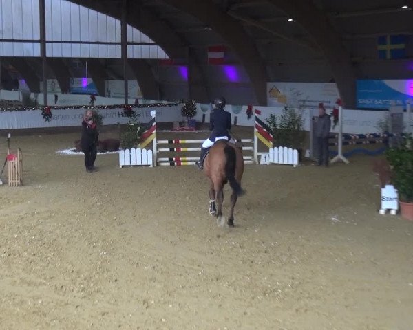Reitturnier Essen-Stadtwald 2019