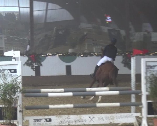 Reitturnier Essen-Stadtwald 2019