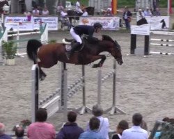 jumper Quibelle 9 (Hanoverian, 2005, from Quidam's Rubin)