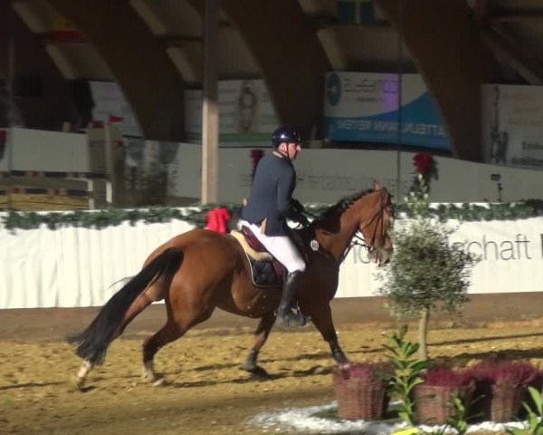 Reitturnier Essen-Stadtwald 2019