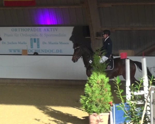 Reitturnier Essen-Stadtwald 2019