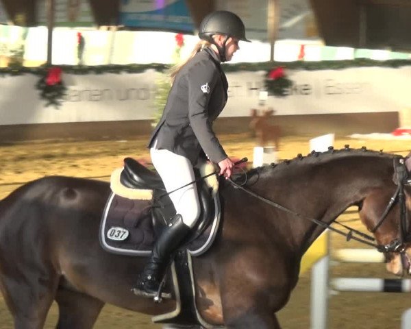 Reitturnier Essen-Stadtwald 2019