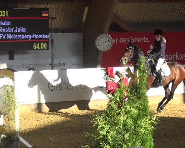 Reitturnier Essen-Stadtwald 2019