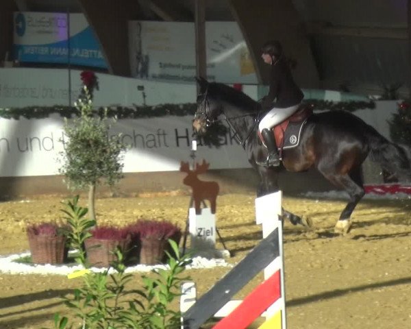 Reitturnier Essen-Stadtwald 2019