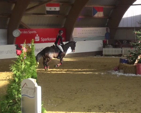 Reitturnier Essen-Stadtwald 2019