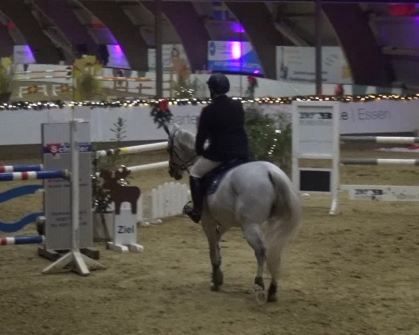 Reitturnier Essen-Stadtwald 2019