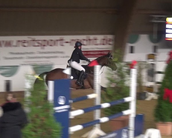 Reitturnier Essen-Stadtwald 2019