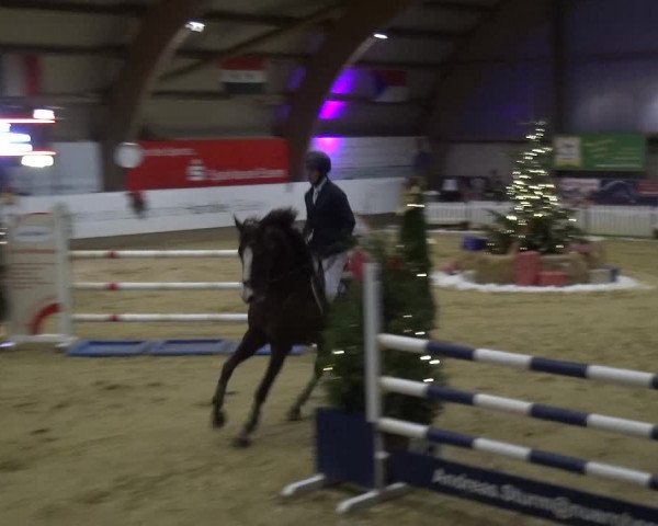 Reitturnier Essen-Stadtwald 2019