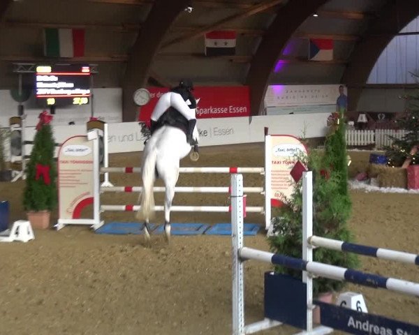 Reitturnier Essen-Stadtwald 2019