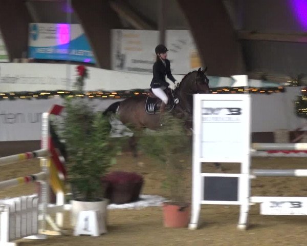 Reitturnier Essen-Stadtwald 2019