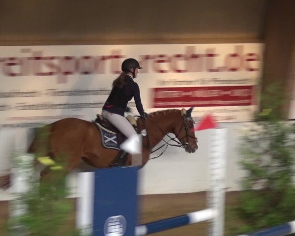 Reitturnier Essen-Stadtwald 2019