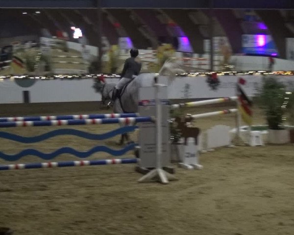 Reitturnier Essen-Stadtwald 2019