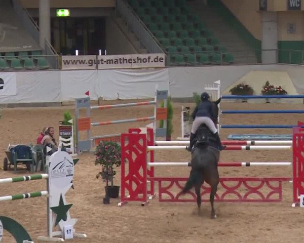 Reitturnier Kreuth/Opf. 2019