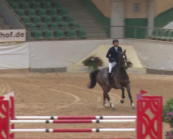 Reitturnier Kreuth/Opf. 2019