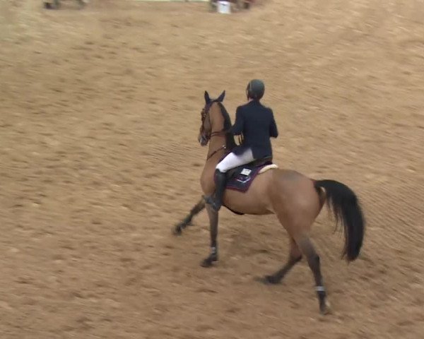 Reitturnier Kreuth/Opf. 2019