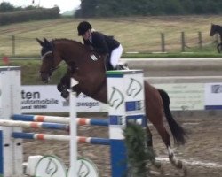broodmare Cordina 50 (Rhinelander, 2010, from Cassini Boy Junior)