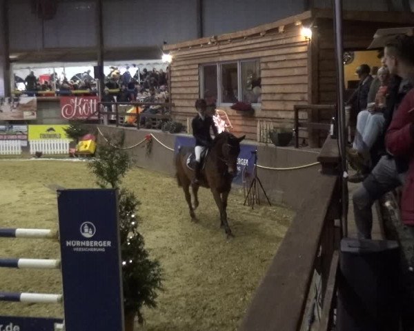 Reitturnier Essen-Stadtwald 2019