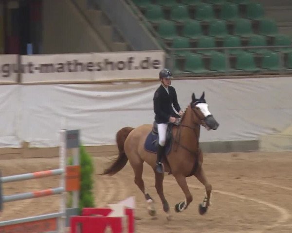 Reitturnier Kreuth/Opf. 2019