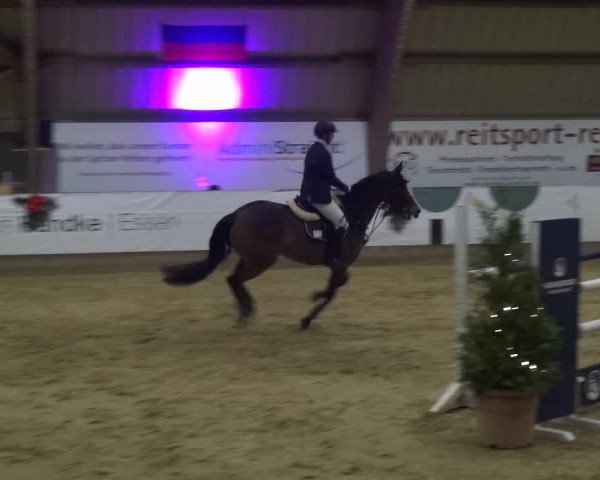 Reitturnier Essen-Stadtwald 2019