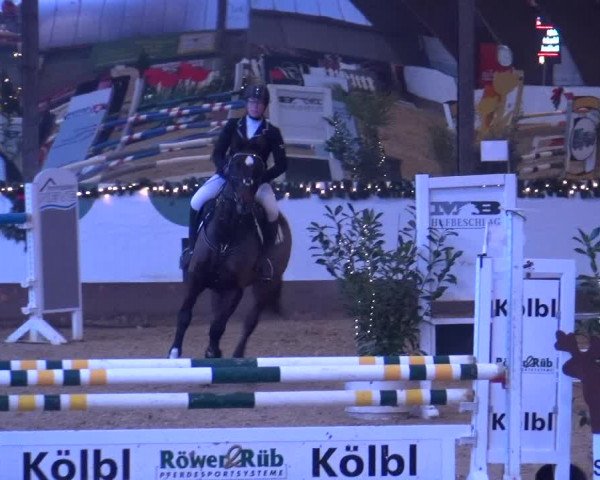 Reitturnier Essen-Stadtwald 2019