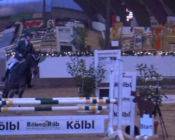 Reitturnier Essen-Stadtwald 2019