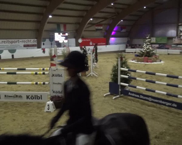 Reitturnier Essen-Stadtwald 2019