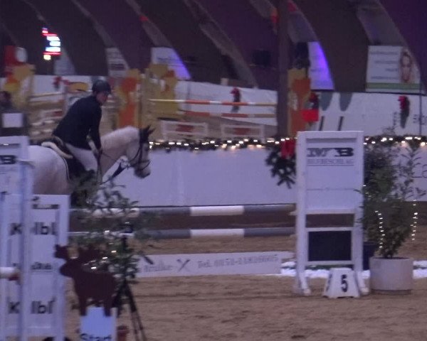 Reitturnier Essen-Stadtwald 2019