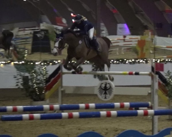 Reitturnier Essen-Stadtwald 2019