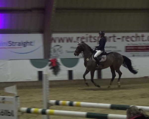 Reitturnier Essen-Stadtwald 2019