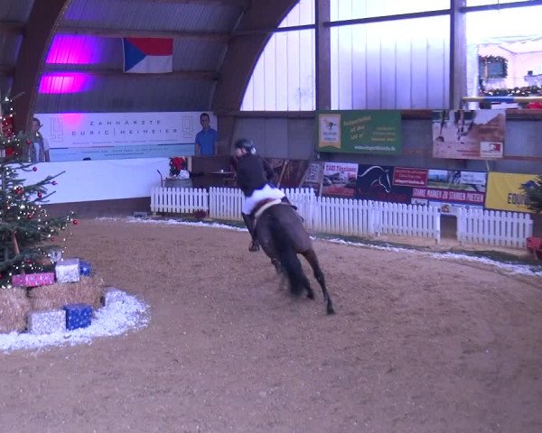 Reitturnier Essen-Stadtwald 2019