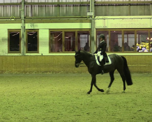 Reitturnier Appelhülsen 2019
