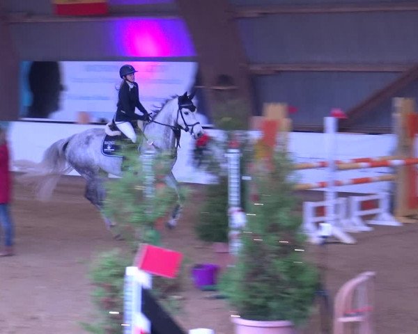 Reitturnier Essen-Stadtwald 2019