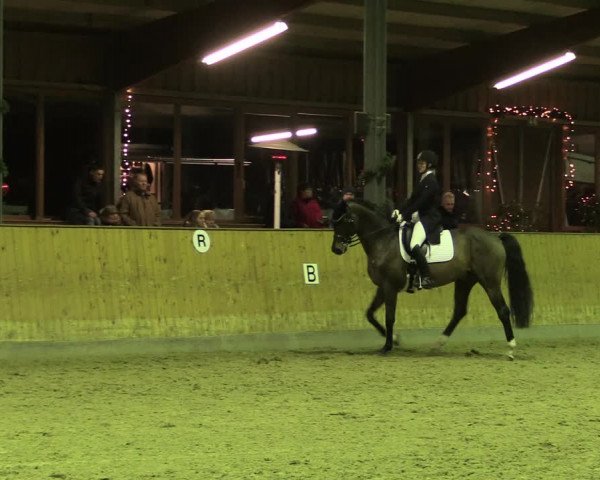 Reitturnier Appelhülsen 2019