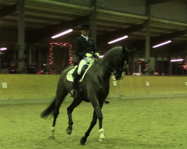 Reitturnier Appelhülsen 2019