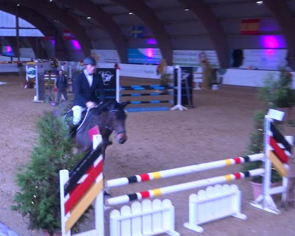 Reitturnier Essen-Stadtwald 2019